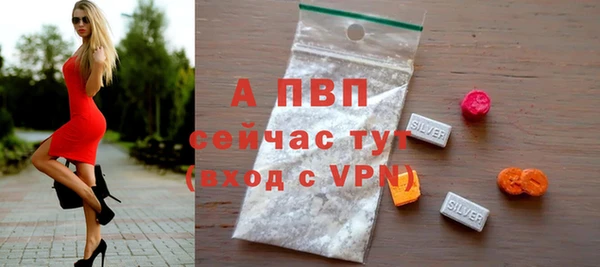 ECSTASY Вяземский