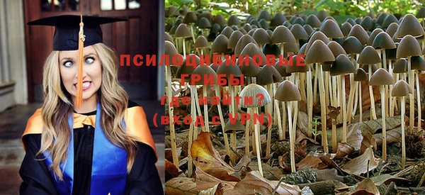 герыч Вязники