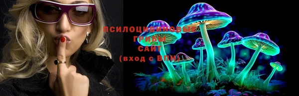 ECSTASY Вяземский