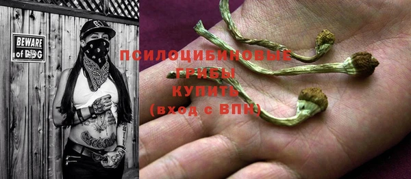 мяу мяу мука Вязьма