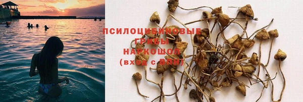 ECSTASY Вяземский